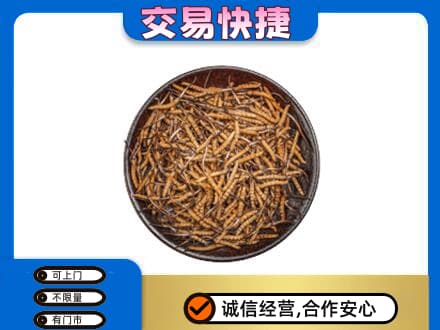 安远县回收散虫草